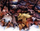 by Delores Herringshaw