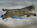 by Tammy J Johnson