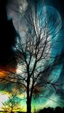 by Christine Schwab