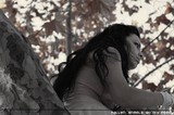 by Anna Lindstrom