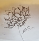 by Judet-Safi Mevertis-Karim