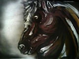 by jurjoni bogdan
