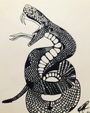by Porfirio Cuevas
