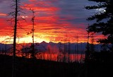 by Terry Hawthorne