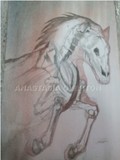 by Anastasia Overton