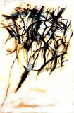 by Sherri  Tillman