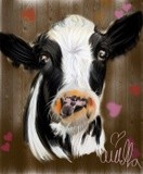 by Ariella Belau