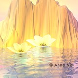 by Anne Vis