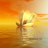 by Anne Vis