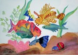 by Nancy Woolweber