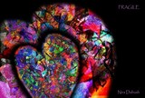 by Nira Dabush