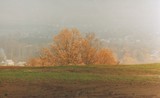by mihail uss