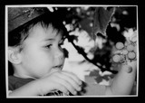 by J B