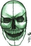 by shawn hurst