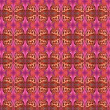 by Orchid Mandala