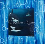 by Robert Ryan