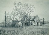 by Bobbi Shearer