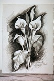 by John A.  Eiselein