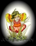 by Joanne Harvey