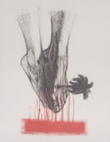 by camilo  villalvilla