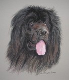 by Joanne Simpson-Connor