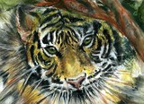 by Marilyn Barton