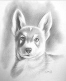 by Patti Jo 