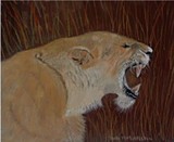 by Maureen  Middleton