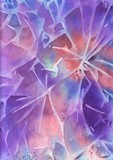 by amira el-fohail