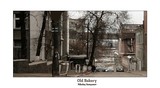 by Nikolay Semyonov