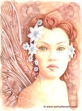 by Selina Fenech