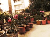 by Dhruv Sharma