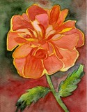 by Lisa Bell