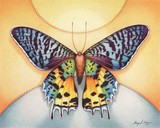 by Amy Turner