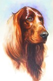 by Barbara Keith