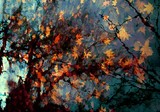 by Angel Estevez