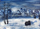 by Faye Facer