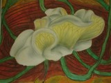 by Robert Menzies