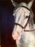 by Shannon McClane