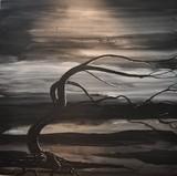 by stefan duncan