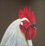 by Ton van Meerendonk