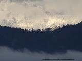 by Sanchita Mukherjee