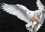 by diane deason