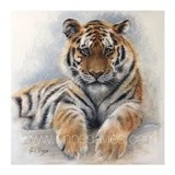 by Lynne Davies