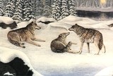 by Damon Holter