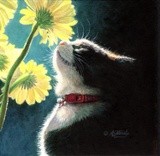 by Akiko Watanabe