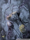 by Stefani Wehner
