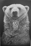 by Lucas Seaward