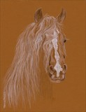 by Maureen Bloesch