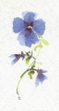by Lynne Thornton
